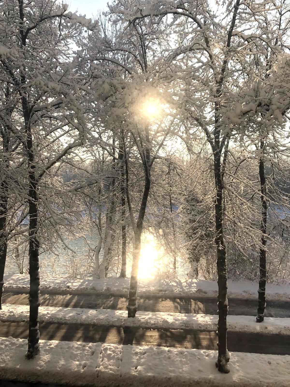 Picture of unit DE-02-025-001-01HF